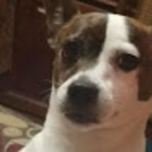 Meet your Posher, Abbyalonso